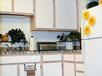 Energy efficient appliances